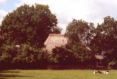 De nieuwe boerderij met zicht op de losstaande stal